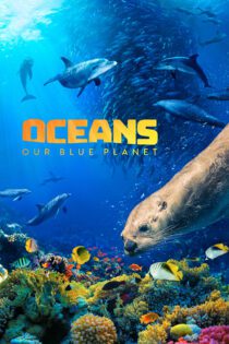 دانلود فیلم Oceans: Our Blue Planet 2018 بدون سانسور با پخش آنلاین دانلود فیلم Oceans: Our Blue Planet 2018 بدون سانسور با پخش آنلاین