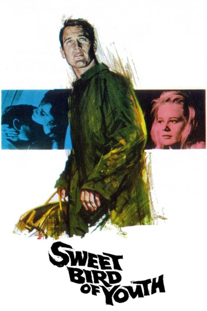 دانلود فیلم Sweet Bird of Youth 1962 بدون سانسور با پخش آنلاین