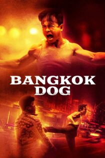 دانلود فیلم Bangkok Dog 2024 بدون سانسور با پخش آنلاین دانلود فیلم Bangkok Dog 2024 بدون سانسور با پخش آنلاین