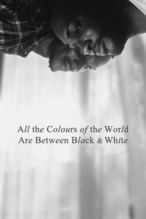 دانلود فیلم All the Colours of the World Are Between Black and White 2023 بدون سانسور با پخش آنلاین