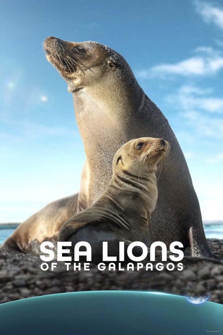 دانلود فیلم Sea Lions of the Galapagos 2025 بدون سانسور با پخش آنلاین