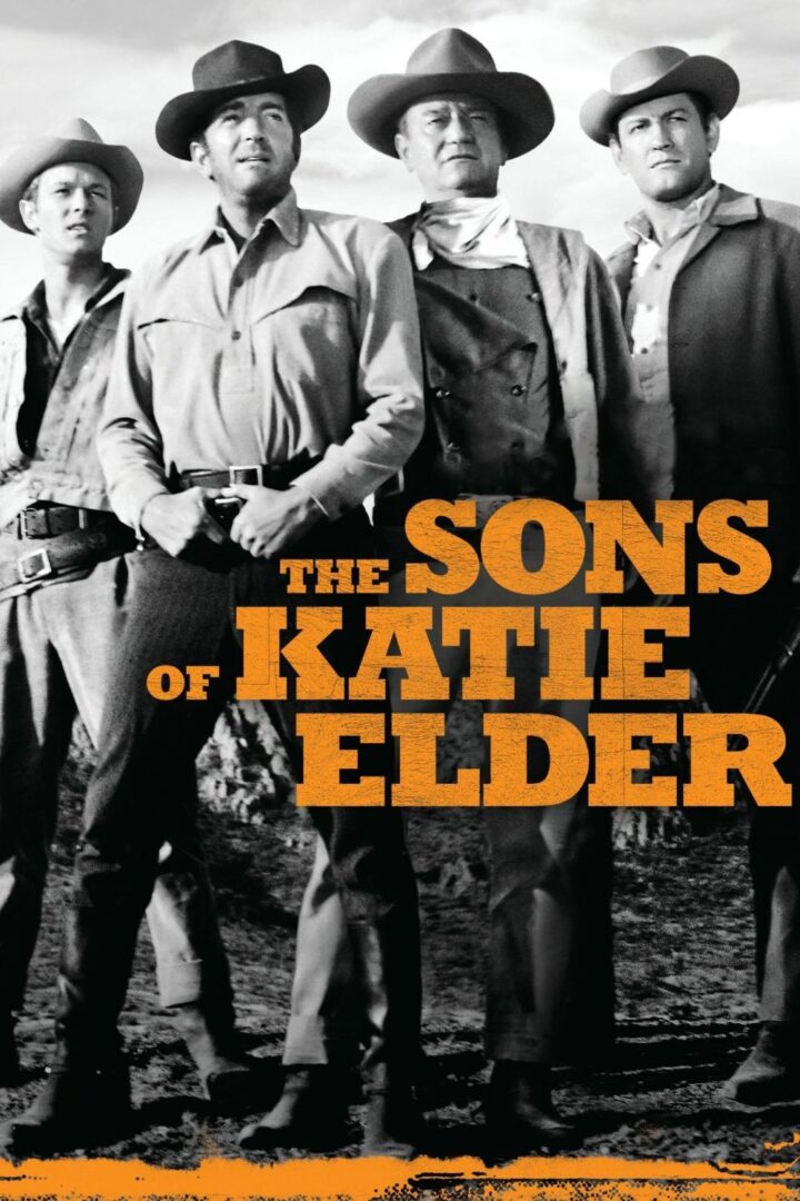 دانلود فیلم The Sons of Katie Elder 1965 بدون سانسور با پخش آنلاین