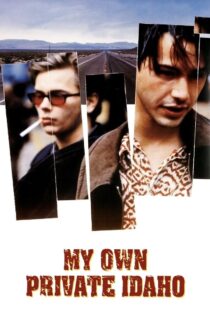 دانلود فیلم My Own Private Idaho 1991 بدون سانسور با پخش آنلاین