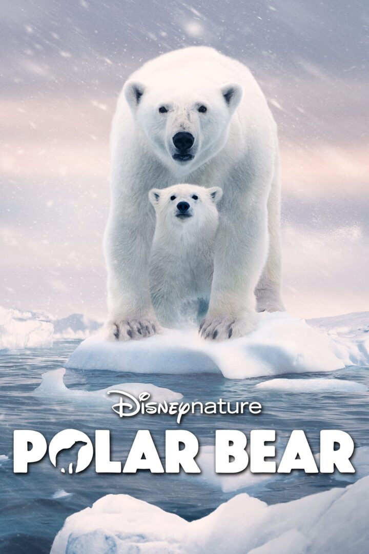 دانلود فیلم Polar Bear 2022 بدون سانسور با پخش آنلاین
