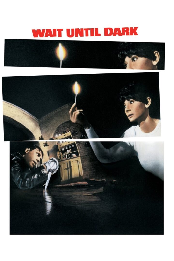 دانلود فیلم Wait Until Dark 1967 بدون سانسور با پخش آنلاین