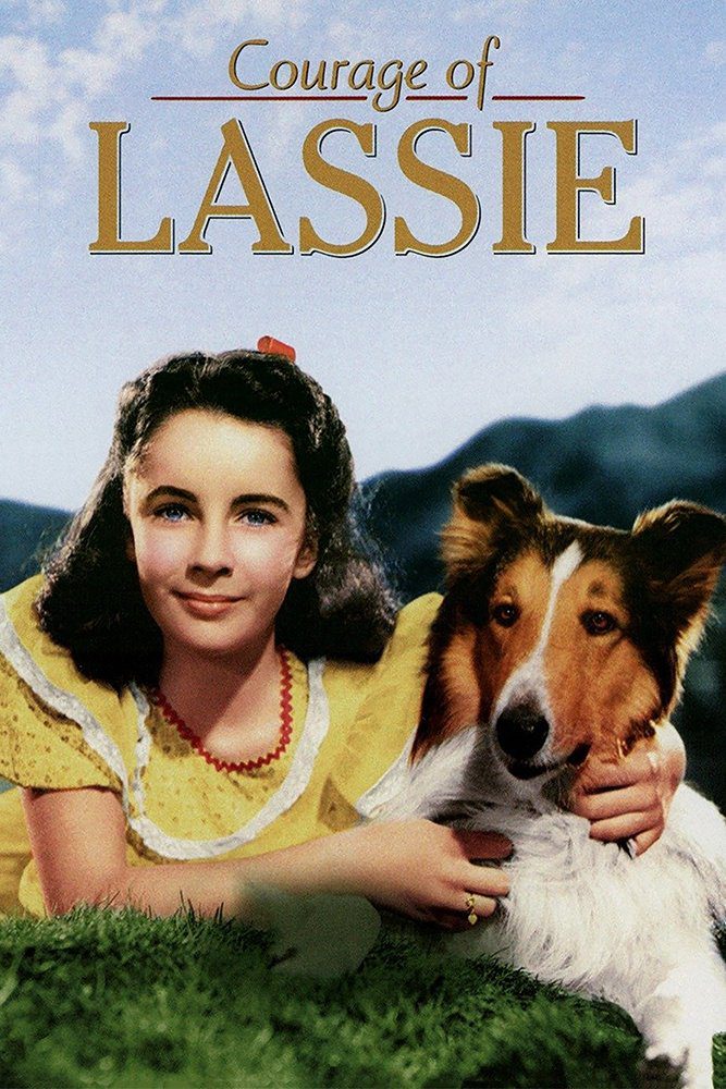 دانلود فیلم Courage of Lassie 1946 بدون سانسور با پخش آنلاین