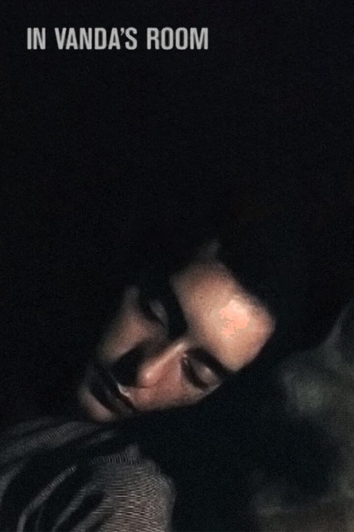 دانلود فیلم In Vanda’s Room 2000 بدون سانسور با پخش آنلاین