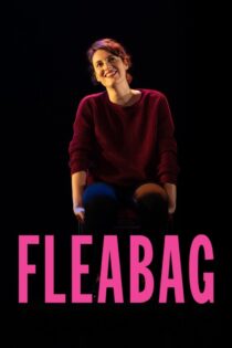 دانلود فیلم National Theatre Live: Fleabag 2019 بدون سانسور با پخش آنلاین