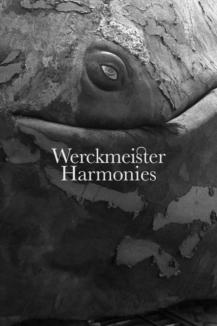 دانلود فیلم Werckmeister Harmonies 2000 بدون سانسور با پخش آنلاین