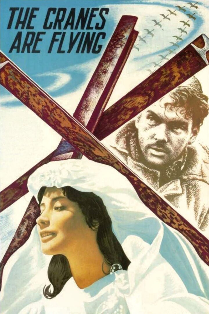 دانلود فیلم The Cranes Are Flying 1957 بدون سانسور با پخش آنلاین