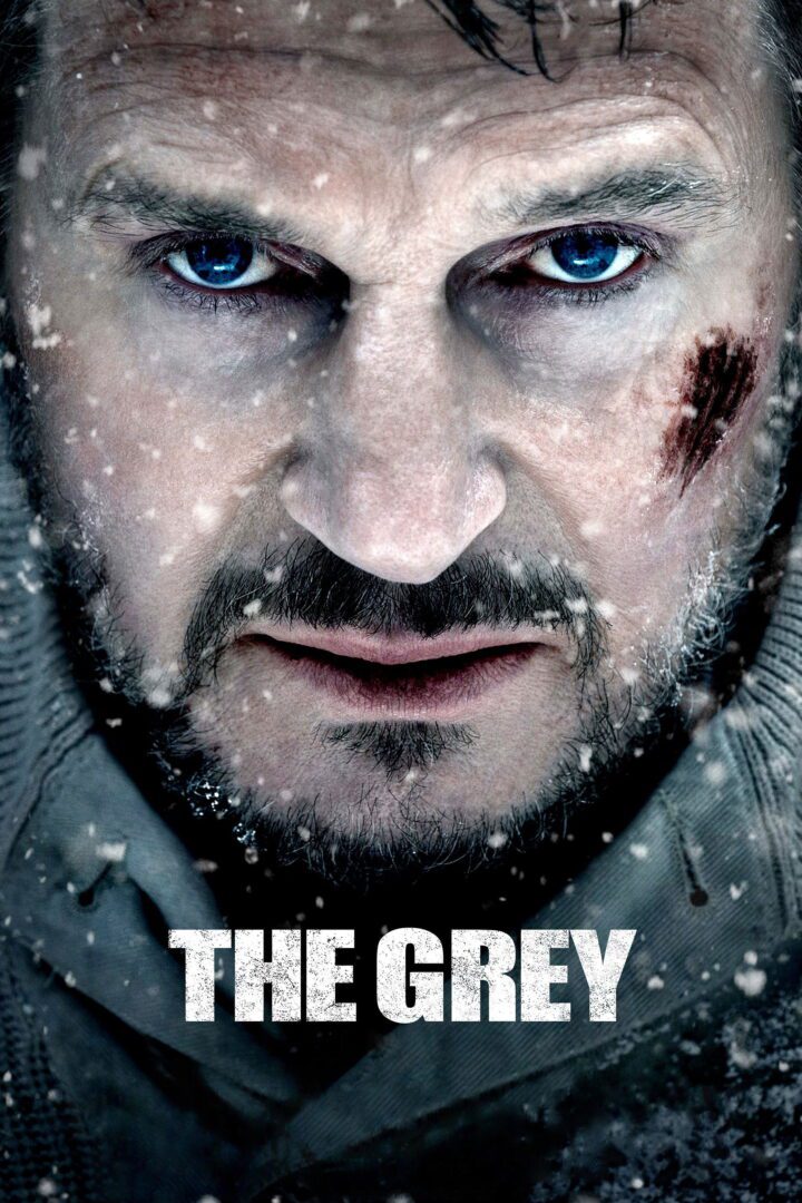 دانلود فیلم The Grey 2011 بدون سانسور با پخش آنلاین