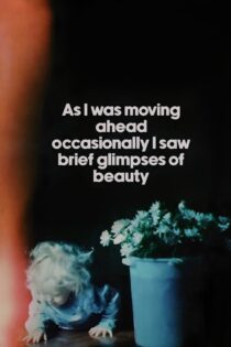 دانلود فیلم As I Was Moving Ahead Occasionally I Saw Brief Glimpses of Beauty 2000 بدون سانسور با پخش آنلاین
