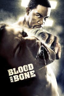 دانلود فیلم Blood and Bone 2009 بدون سانسور با پخش آنلاین دانلود فیلم Blood and Bone 2009 بدون سانسور با پخش آنلاین
