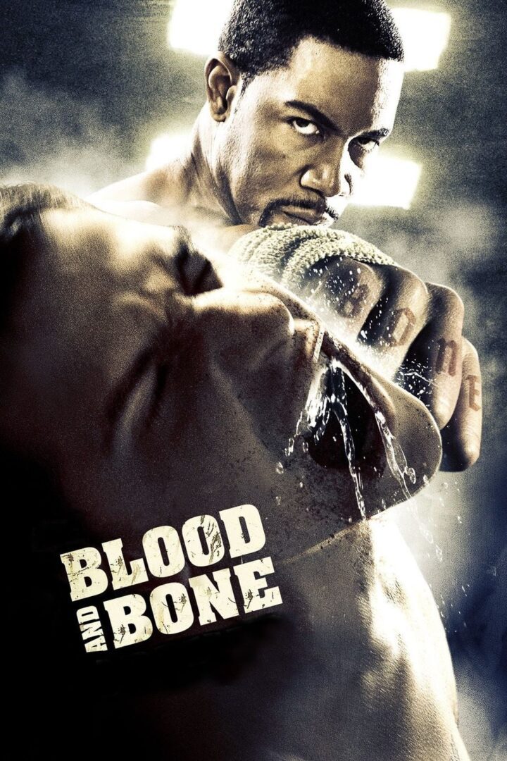 دانلود فیلم Blood and Bone 2009 بدون سانسور با پخش آنلاین