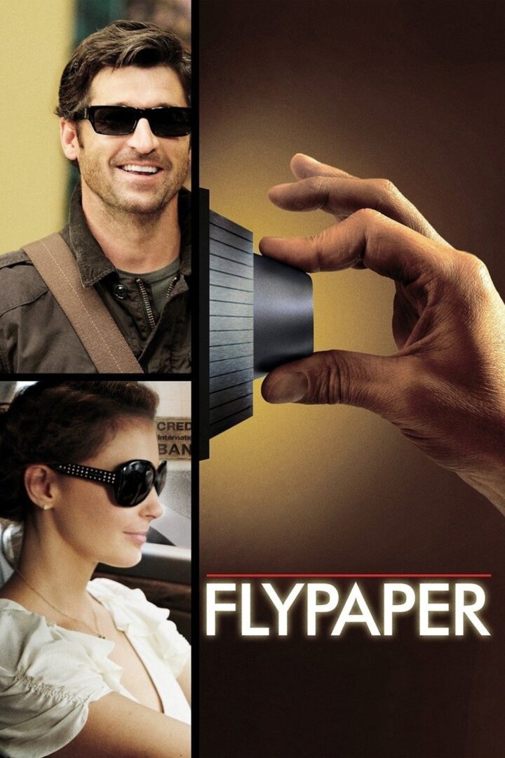 دانلود فیلم Flypaper 2011 بدون سانسور با پخش آنلاین