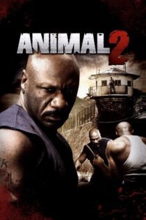 دانلود فیلم Animal 2 2008 بدون سانسور با پخش آنلاین دانلود فیلم Animal 2 2008 بدون سانسور با پخش آنلاین
