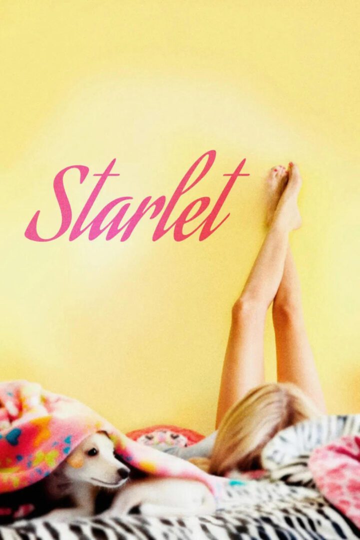 دانلود فیلم Starlet 2012 بدون سانسور با پخش آنلاین