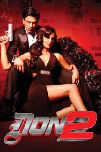 دانلود فیلم Don 2 2011 بدون سانسور با پخش آنلاین دانلود فیلم Don 2 2011 بدون سانسور با پخش آنلاین