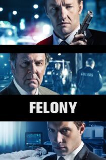 دانلود فیلم Felony 2013 بدون سانسور با پخش آنلاین دانلود فیلم Felony 2013 بدون سانسور با پخش آنلاین