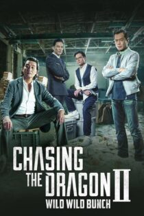 دانلود فیلم Chasing the Dragon II: Wild Wild Bunch 2019 بدون سانسور با پخش آنلاین