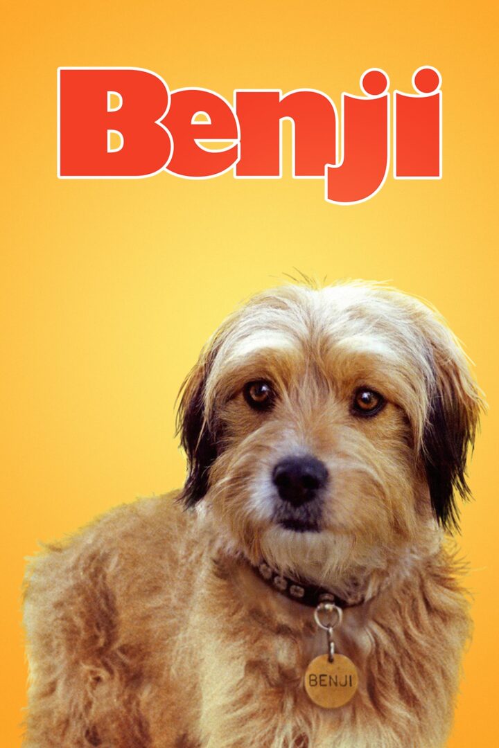 دانلود فیلم Benji 1974 بدون سانسور با پخش آنلاین