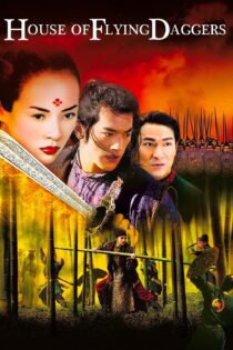 دانلود فیلم House of Flying Daggers 2004 بدون سانسور با پخش آنلاین