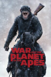 دانلود فیلم War for the Planet of the Apes 2017 بدون سانسور با پخش آنلاین دانلود فیلم War for the Planet of the Apes 2017 بدون سانسور با پخش آنلاین