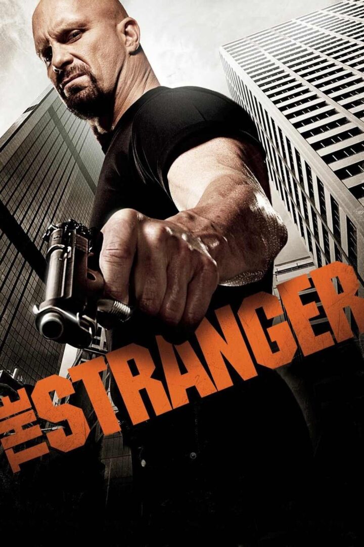 دانلود فیلم The Stranger 2010 بدون سانسور با پخش آنلاین