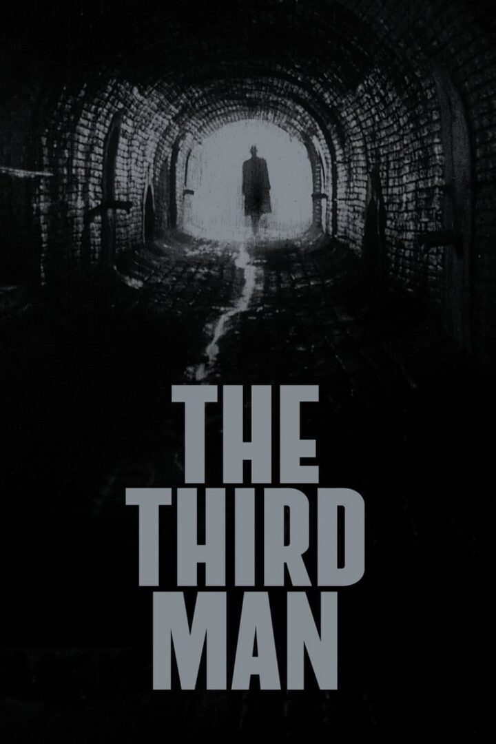 دانلود فیلم The Third Man 1949 بدون سانسور با پخش آنلاین