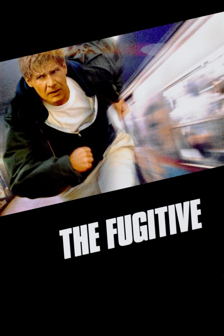 دانلود فیلم The Fugitive 1993 بدون سانسور با پخش آنلاین