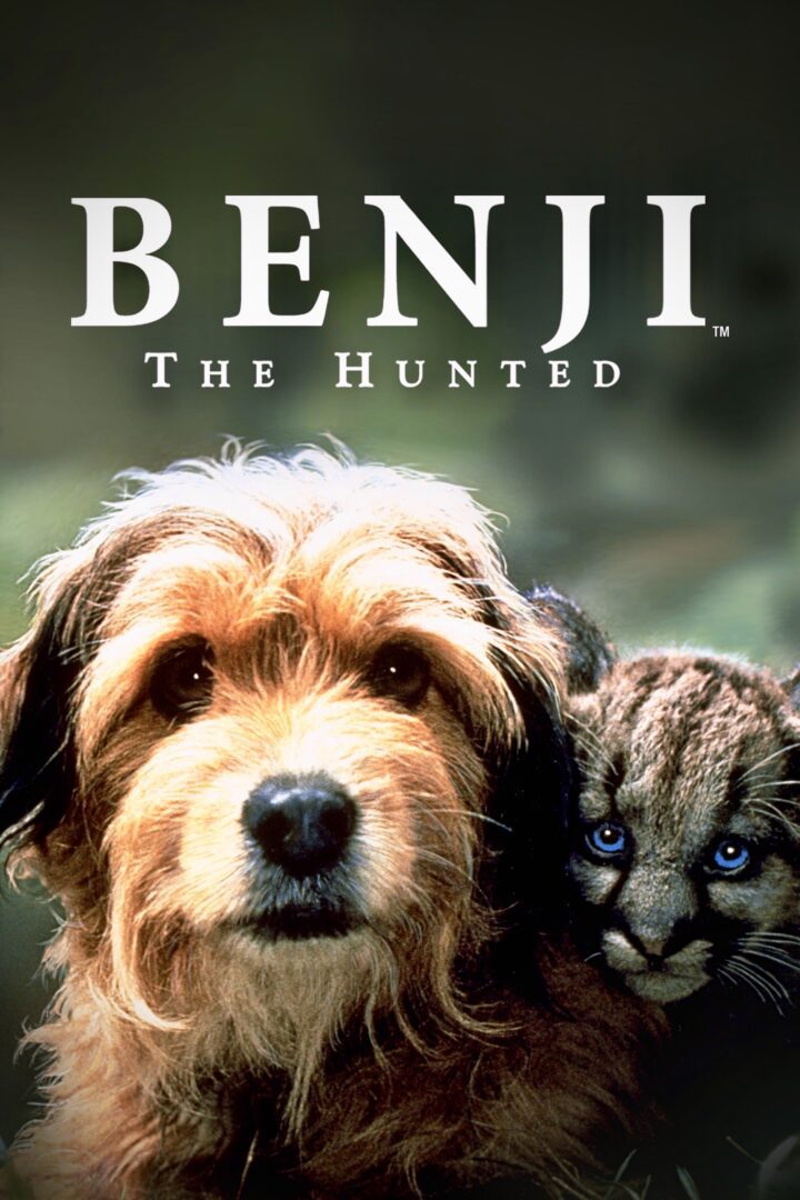 دانلود فیلم Benji the Hunted 1987 بدون سانسور با پخش آنلاین