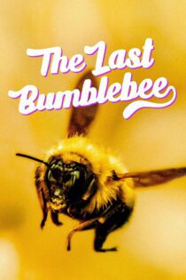دانلود فیلم The Last Bumblebee 2024 بدون سانسور با پخش آنلاین دانلود فیلم The Last Bumblebee 2024 بدون سانسور با پخش آنلاین