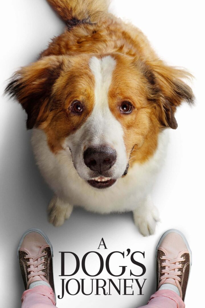 دانلود فیلم A Dog’s Journey 2019 بدون سانسور با پخش آنلاین