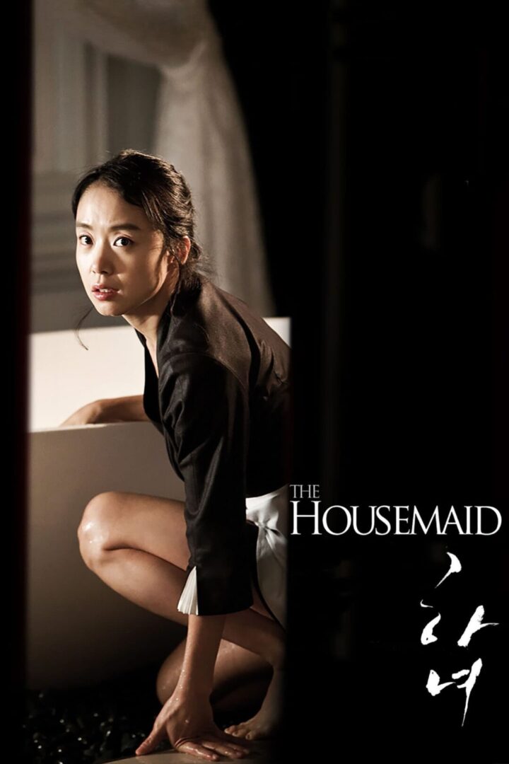 دانلود فیلم The Housemaid 2010 بدون سانسور با پخش آنلاین