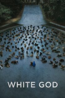 دانلود فیلم White God 2014 بدون سانسور با پخش آنلاین