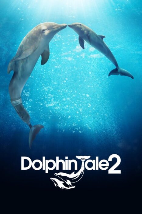 دانلود فیلم Dolphin Tale 2 2014 بدون سانسور با پخش آنلاین