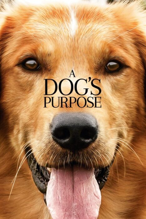 دانلود فیلم A Dog’s Purpose 2017 بدون سانسور با پخش آنلاین