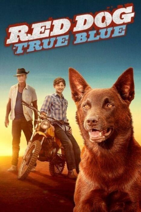 دانلود فیلم Red Dog: True Blue 2016 بدون سانسور با پخش آنلاین