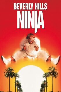 دانلود فیلم Beverly Hills Ninja 1997 بدون سانسور با پخش آنلاین