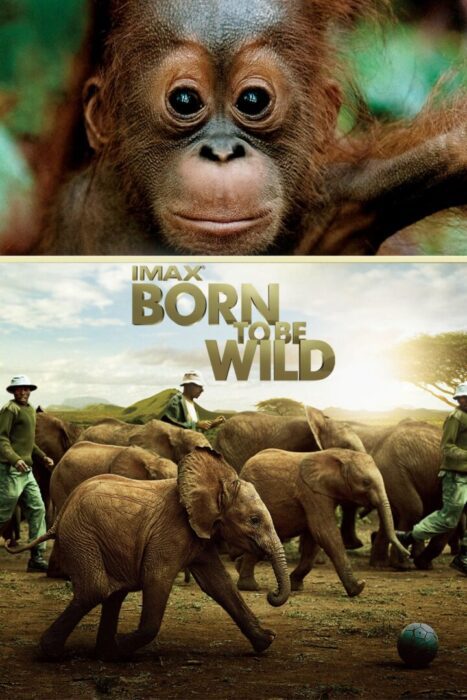 دانلود فیلم Born to Be Wild 2011 بدون سانسور با پخش آنلاین
