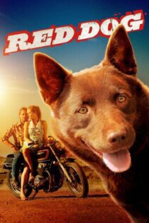 دانلود فیلم Red Dog 2011 بدون سانسور با پخش آنلاین