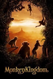 دانلود فیلم Monkey Kingdom 2015 بدون سانسور با پخش آنلاین