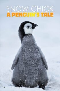 دانلود فیلم Snow Chick: A Penguin’s Tale 2015 بدون سانسور با پخش آنلاین