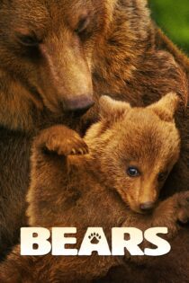 دانلود فیلم Bears 2014 بدون سانسور با پخش آنلاین