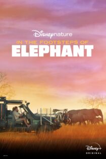 دانلود فیلم In the Footsteps of Elephant 2020 بدون سانسور با پخش آنلاین