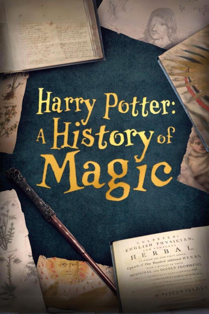 دانلود فیلم Harry Potter: A History of Magic 2017 بدون سانسور با پخش آنلاین