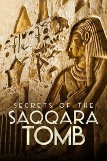 دانلود فیلم Secrets of the Saqqara Tomb 2020 بدون سانسور با پخش آنلاین دانلود فیلم Secrets of the Saqqara Tomb 2020 بدون سانسور با پخش آنلاین