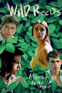 دانلود فیلم Wild Reeds 1994 بدون سانسور با پخش آنلاین