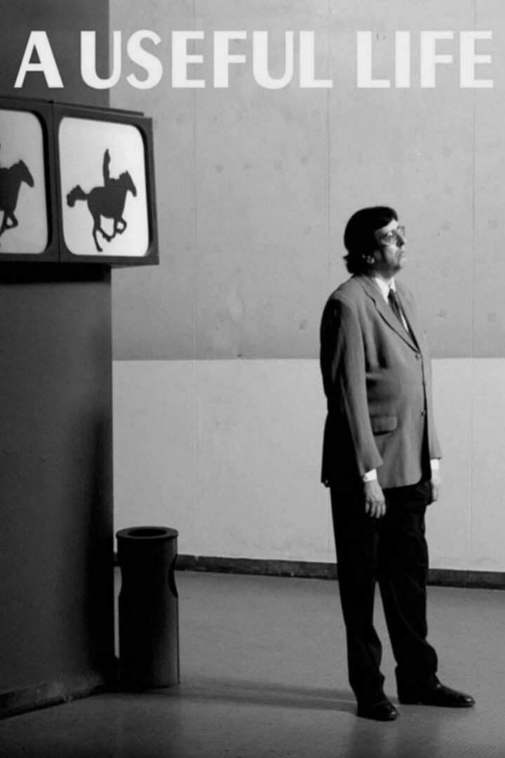 دانلود فیلم A Useful Life 2010 بدون سانسور با پخش آنلاین