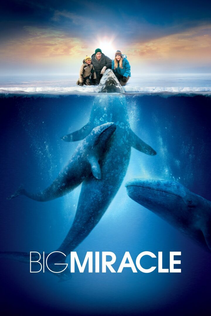 دانلود فیلم Big Miracle 2012 بدون سانسور با پخش آنلاین